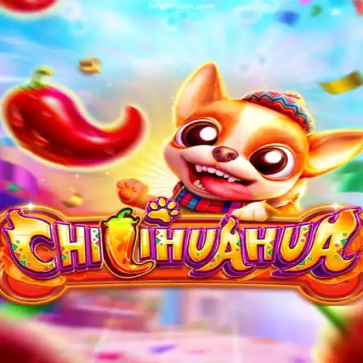 Exploring the Exciting World of CHILIHUAHUA and 5MM9.Com Login BET Site